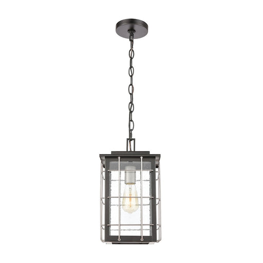 ELK Lighting Brewster 1-Light Hanging, Matte Black/Seedy Glass