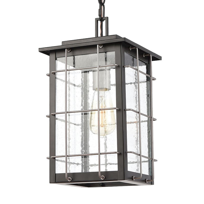 ELK Lighting Brewster 1-Light Hanging, Matte Black/Seedy Glass