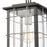 ELK Lighting Brewster 1-Light Hanging, Matte Black/Seedy Glass