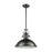 ELK Lighting Chadwick 1-Light Pendant, Black Nickel