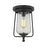 ELK Lighting Hamel 1-Light Flush Mount, Bronze/Clear Seedy Glass