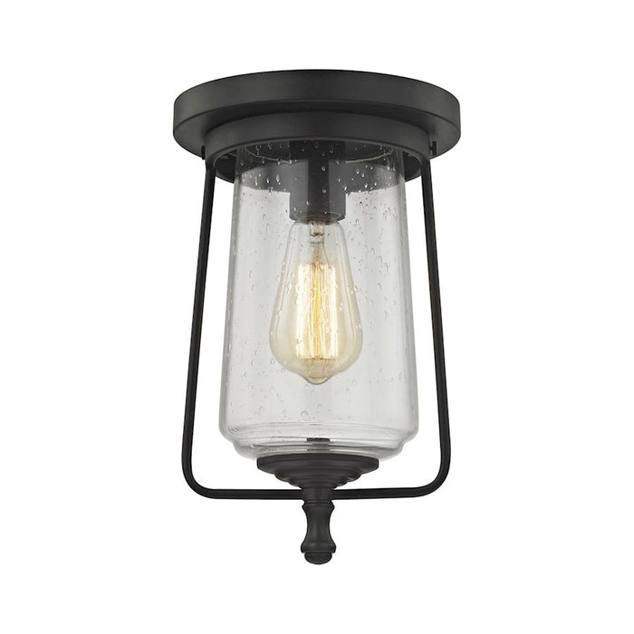 ELK Lighting Hamel 1-Light Flush Mount, Bronze/Clear Seedy Glass