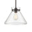 ELK Lighting Mickley 1-Light Mini Pendant, Bronze/Clear