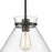 ELK Lighting Mickley 1-Light Mini Pendant, Bronze/Clear