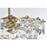 Elegant Lighting Adaline 8 Light 20" Chandelier, Satin Gold/Clear
