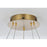 Elegant Lighting Linden 2 Light 22" Chandelier, Satin Gold/Clear
