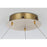 Elegant Lighting Rune 1 Light 24"L Chandelier, Satin Gold/Clear
