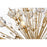 Elegant Lighting Vera 74 Light 44" Chandelier, Satin Gold