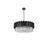 Elegant Lighting Willow 10 Light 32" Chandelier, Black/Clear