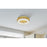 Elegant Lighting Bowen 1 Light 18"L Flush Mount, Satin Gold/Clear