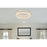 Elegant Lighting Bowen 1 Light 26"L Flush Mount, Chrome/Clear
