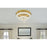Elegant Lighting Bowen 2 Light 26"L Flush Mount, Satin Gold/Clear