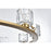 Elegant Lighting Cadence 9Lt 36" Chandelier, Satin Gold/Clear/Clear