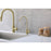Elegant Lighting Rian Kitchen Faucet, Brushed Gold