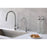 Elegant Lighting Rian Kitchen Faucet, Brushed Nickel