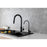 Elegant Lighting Rian Kitchen Faucet, Matte Black