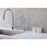 Elegant Lighting Rian Kitchen Faucet, Chrome