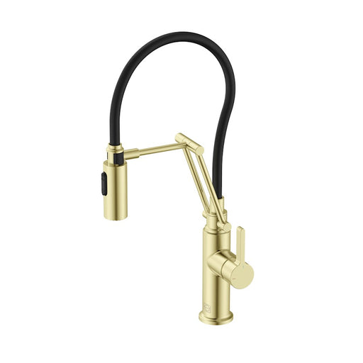 Elegant Lighting Leonardo Kitchen Faucet, Brushed Gold