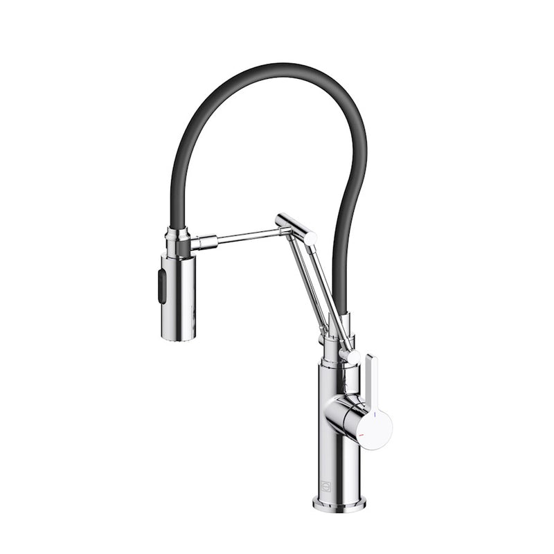 Elegant Lighting Leonardo Kitchen Faucet, Chrome