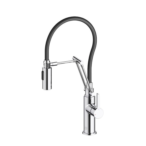 Elegant Lighting Leonardo Kitchen Faucet, Chrome