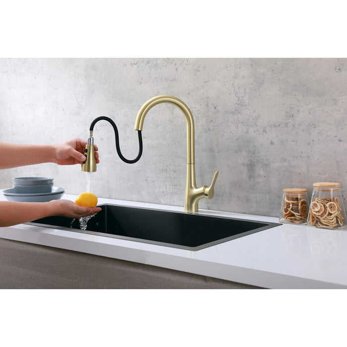 Elegant Lighting Andrea Kitchen Faucet, Brushed Gold