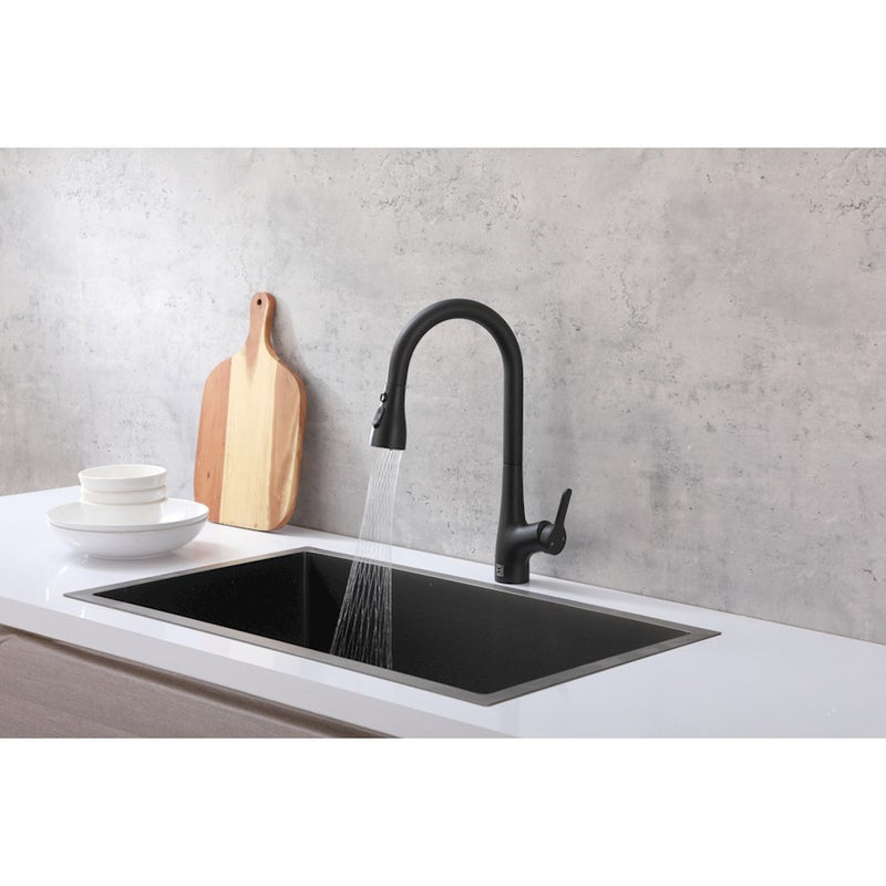 Elegant Lighting Andrea Kitchen Faucet, Matte Black