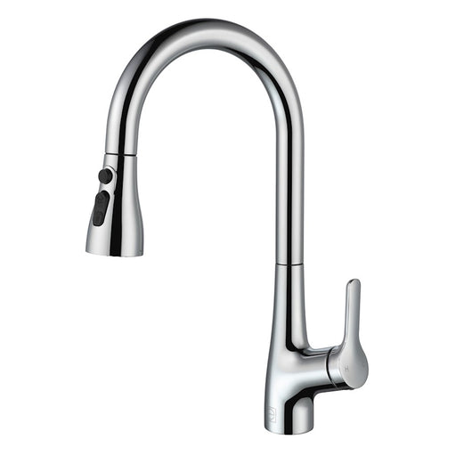 Elegant Lighting Andrea Kitchen Faucet, Chrome