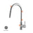 Elegant Lighting Luca Kitchen Faucet, Brushed Nickel