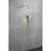 Elegant Lighting 9001 George Shower Faucet, Brushed Gold