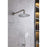 Elegant Lighting 9001 George Shower Faucet, Brushed Nickel