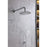 Elegant Lighting 9001 George Shower Faucet, Chrome