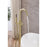 Elegant Lighting Steven Tub Faucet, Brushed Gold