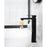 Elegant Lighting Jakob Vanity Faucet, Matte Black
