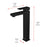 Elegant Lighting Jakob Vanity Faucet, Matte Black