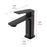 Elegant Lighting Lena Vanity Faucet, Black