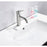 Elegant Lighting Victor Vanity Faucet, Nickel