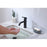 Elegant Lighting Victor Vanity Faucet, Black