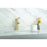 Elegant Lighting Mia Vanity Faucet, Brushed Gold