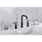Elegant Lighting Tobias Vanity Faucet, Matte Black