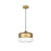 Living District Ashwell 1 Light 10" Pendant, Satin Gold/Clear - LD2243SG