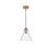 Living District Destry 1 Light 8" Cone Pendant, Satin Gold/Clear - LD2244SG