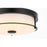 Living District Kolson 1 Light 12" Flush Mount, Black/Clear