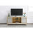 Elegant Decor Reflexion 60" TVCabinet/Stand, Gold