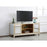 Elegant Decor Reflexion 60" TVCabinet/Stand, Gold