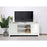 Elegant Decor Reflexion 60" TVCabinet/Stand, White