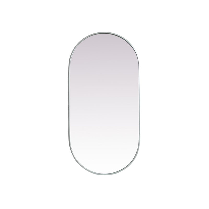 Elegant Decor Asha Metal Frame Oval Mirror 24X48", Silver