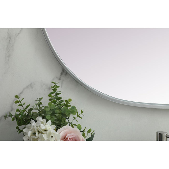 Elegant Decor Asha Metal Frame Oval Mirror 24X48", Silver
