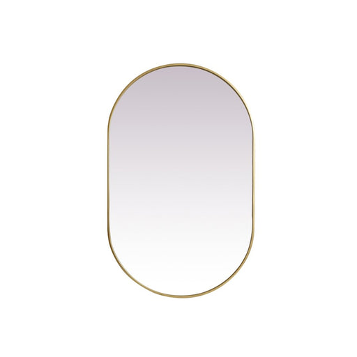Elegant Decor Asha Metal Frame Oval Mirror 30X48", Brass - MR2A3048BRS