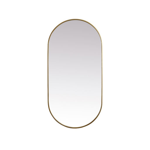 Elegant Decor Asha Metal Frame Oval Mirror 30X60", Brass - MR2A3060BRS