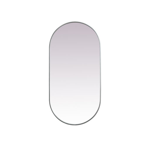 Elegant Decor Asha Metal Frame Oval Mirror 30X60", Silver - MR2A3060SIL